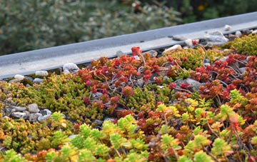 the cost of Canal Foot green roof installation
